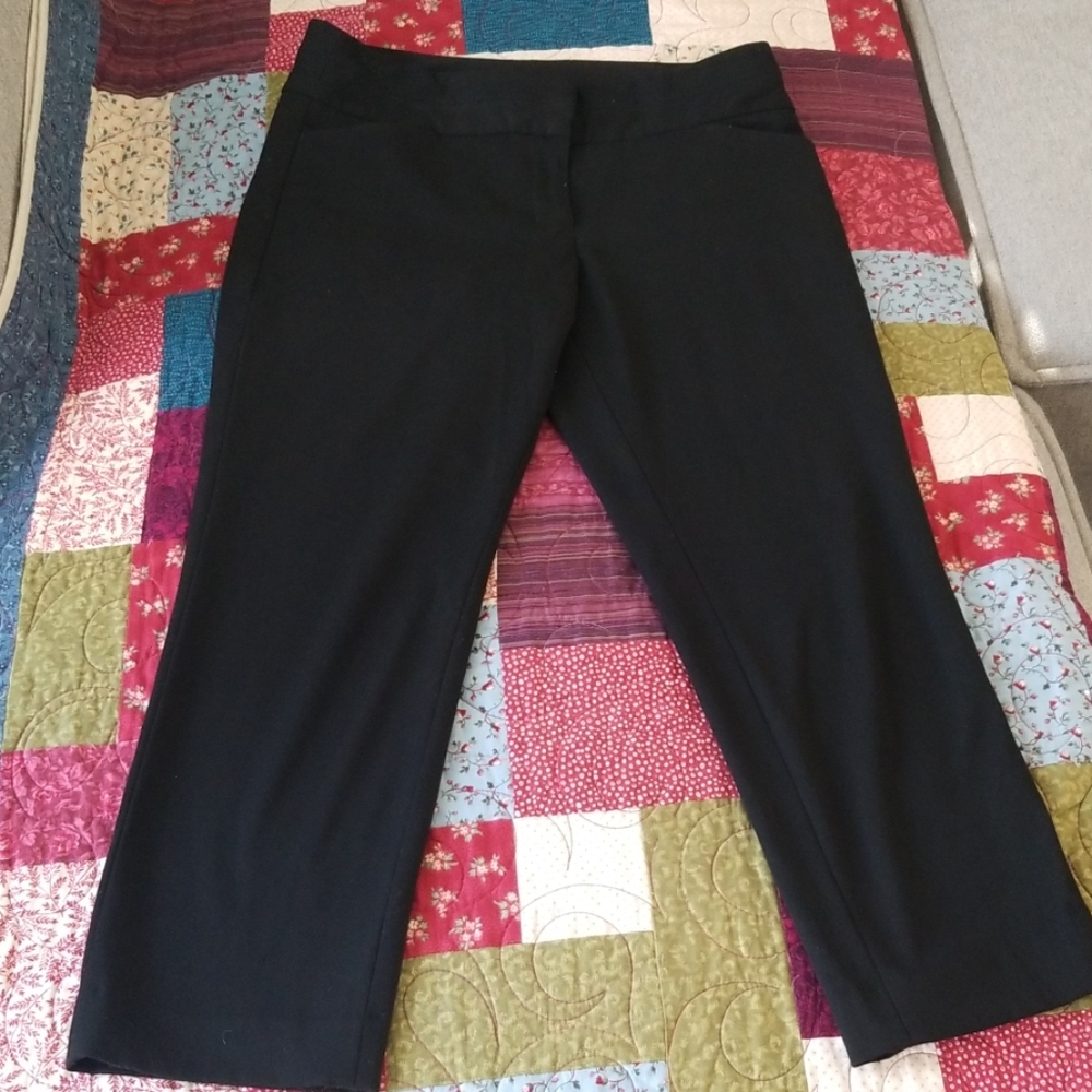 Express editor dress pants
